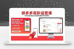 拼多多高阶运营课:7天开店流程/链接上架/选品策略/爆款打造与持续增长