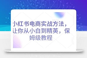 小红书电商实战方法,让你从小白到精英,保姆级教程