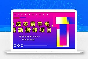 0成本薅羊毛,最新搬砖项目,新手单号月入2k+,可放大操作