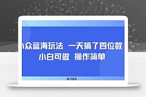 小众蓝海玩法 一天搞了四位数 小白可做 操作简单