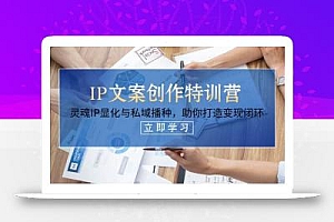 IP文案创作特训营,灵魂IP显化与私域播种,助你打造变现闭环(14节课)