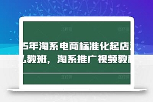 2025年淘系电商标准化起店流程私教班,淘系推广视频教程