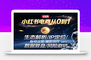 小红书电商从0到1:生态解析/IP定位/ 账号运营/爆款创作/直播带货/数据复盘/风险避坑