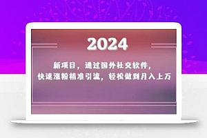 2024新项目,通过国外社交软件,快速涨粉精准引流,轻松做到月入上万【揭秘】
