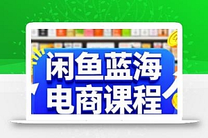 闲鱼蓝海电商课程