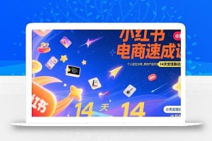 小红书虚拟电商速成课:个人定位分析,原创产品开发,14天变现路径规划