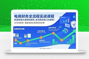 电商财务全流程实战课程:快速掌握从建账到报税的全流程技能(36节课