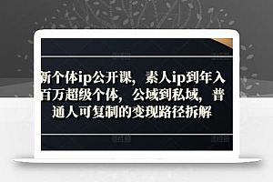 新个体ip公开课,素人ip到年入百万超级个体,公域到私域,普通人可复制的变现路径拆解