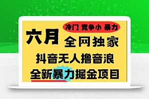 25年6月高爆抖音无人直播最新撸音浪掘金项目,小白可做,无脑日入1k+,门槛低可批量矩阵【揭秘】