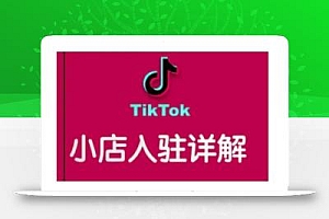 TikTok跨境小店运营全攻略,帮助你独立运营TK跨境小店的能力,实现销量增长