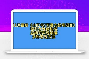 K总部落11月最新小红书7天暴力起号项目,吸引女性做私域【揭秘】