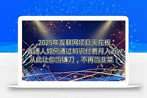 2025年互联网项目天花板,普通人如何通过卖项目实现逆风翻盘,月入5W+!
