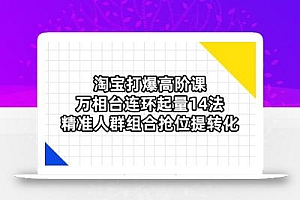 淘宝打爆高阶课:万相台连环起量14法,精准人群组合抢位提转化