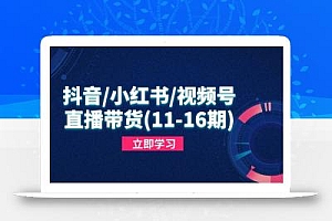 抖音/小红书/视频号/直播带货(11-16期