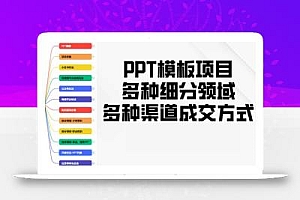 PPT模板项目,多种细分领域,多种渠道成交方式,实操教学
