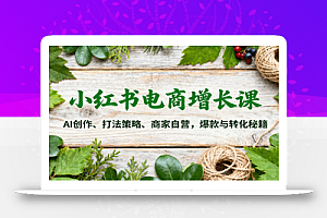小红书电商增长课:AI创作、打法策略、商家自营,爆款与转化秘籍