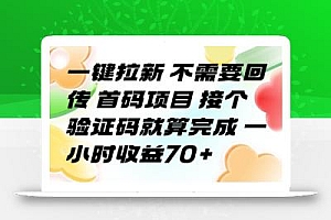 一键拉新 不需要回传 首码项目 接个验证码就算完成 一小时收益70+【揭秘】