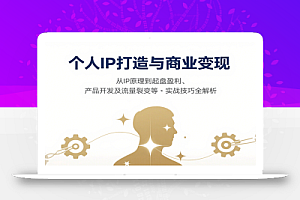 个人IP打造与商业变现,从IP原理到起盘盈利、产品开发及流量裂变等实战技巧全解析