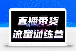 婉婉·直播带货课程系列合集(更新8月)
