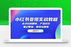 小红书变现实战教程:从小白到精英,产品定价,笔记带货,账号运营等