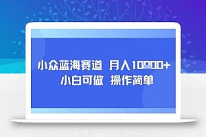 小众蓝海赛道,小白可做,操作简单,每天30分钟,月入1W+
