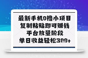 最新手机0撸小项目,复制粘贴即可挣钱,平台放量阶段,单日收益轻松3张+【揭秘】