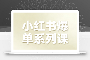 尼采老师·小红书爆单系列课
