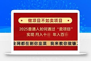 必看,做项目不如卖项目,2025普通人如何通过“卖项目”实现月入十个,年入百个