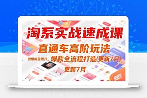 淘系实战速成课,直通车高阶玩法,搜索流量提升,爆款全流程打造(更新7月