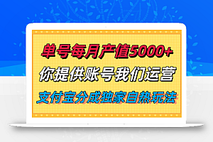 单月产值5000+,支付宝分成代运营,你提供账号坐等分钱,我们帮你运营