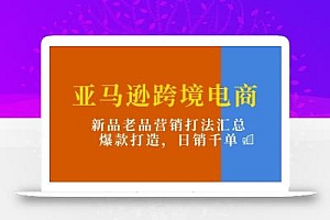 亚马逊跨境电商:新品老品营销打法汇总,爆款打造,日销千单