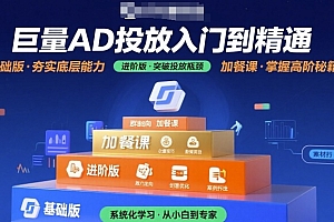 巨量AD投放入门到精通,基础版+进阶版+加餐课
