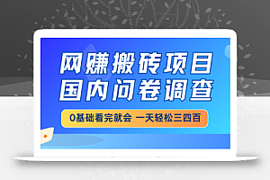 网赚搬砖项目,国内问卷调查,0基础看完就会 一天轻松三四百,靠谱副业…