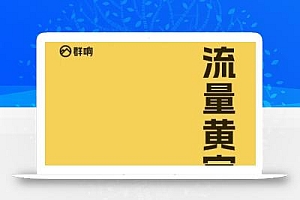 群响流量黄宝书25-29期,群响内部私享资料非卖品