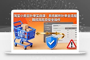 淘宝小类目补单实战课:系统解析补单全流程、降权风险及安全操作
