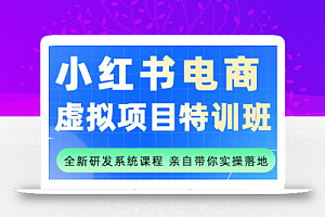 陆明明·小红书虚拟项目特训班(更新9月)