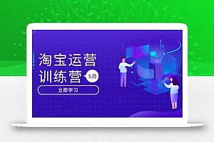 淘宝运营训练营-更新5月:直通车/引力魔方/万相台 搜索推荐双流量引擎驱动