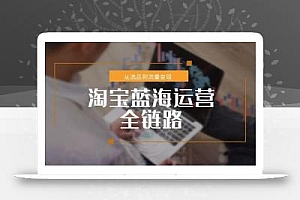淘宝蓝海运营全链路,从选品到流量变现,小类目突围完整方案