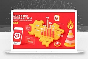 2025拼多多盈利地图:强付费推广策略/活动爆流/自然流量获取系统(7月更新