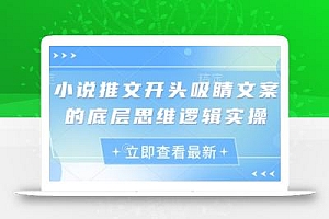小说推文开头吸睛文案的底层思维逻辑实操