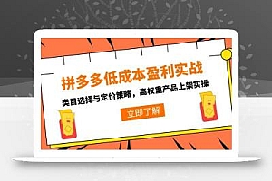 拼多多低成本盈利实战,类目选择与定价策略,高权重产品上架实操