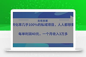转化率最高的私域项目,每单利润40-50米,月入过1w