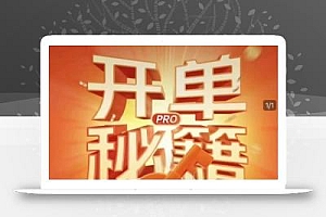 淘宝开单秘籍PRO,量身定制淘天实战陪跑计划,告别做店迷茫、快速突破运营瓶颈期(更新)