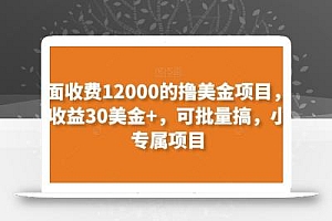 外面收费12000的撸美金项目,单日收益30美金+,可批量搞,小白专属项目