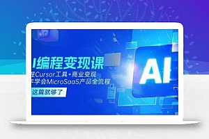 AI编程变现课:掌握Cursor工具+商业变现,一年学会MicroSaaS产品全流程