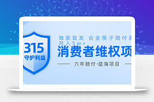 维Q赔付合金筷子玩法小白也能月入5w+风口项目实操