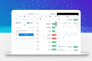 高仿imtoken钱包源码/获取助记词/获取私钥/自动归集