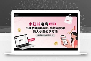 小红书电商0基础+高级运营课,新人小白必学方法,实操教学+案例分析