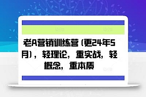 老A营销训练营(更24年11月),轻理论,重实战,轻概念,重本质
