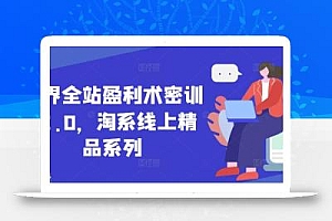 无界全站盈利术密训22.0,淘系线上精品系列